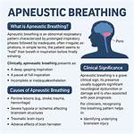 Apneustic