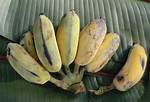 Apple Bananas