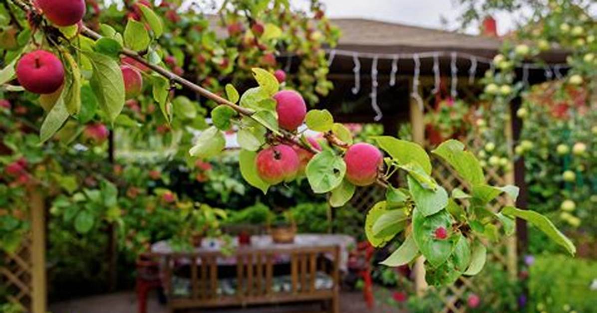 Apple Tree Yard