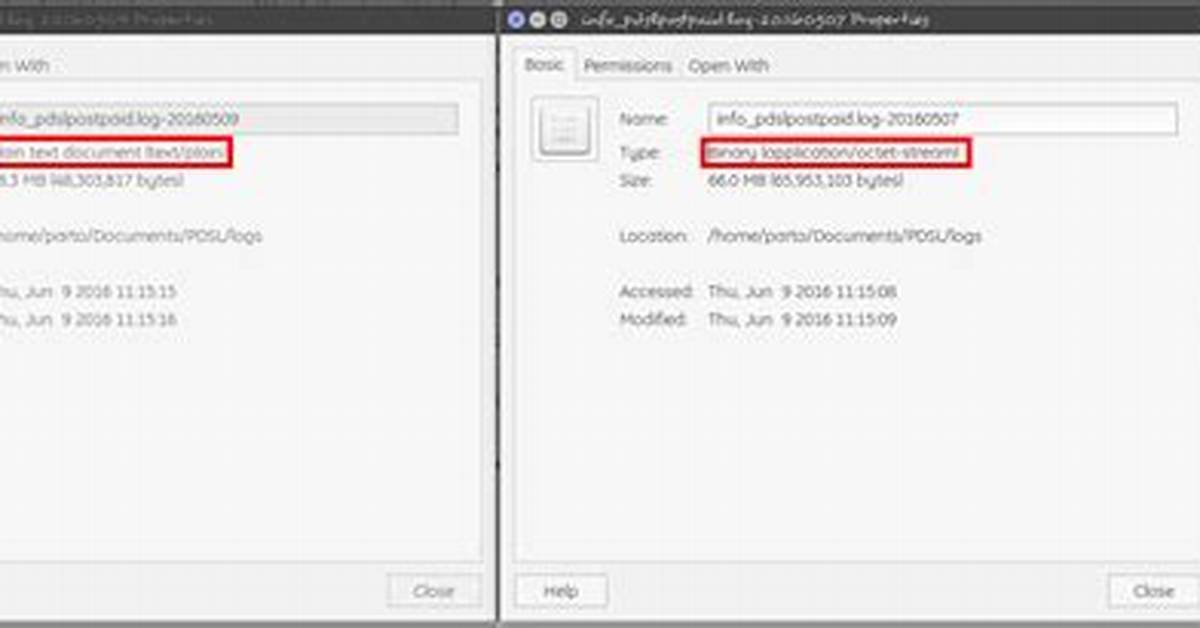 Application Octet Stream