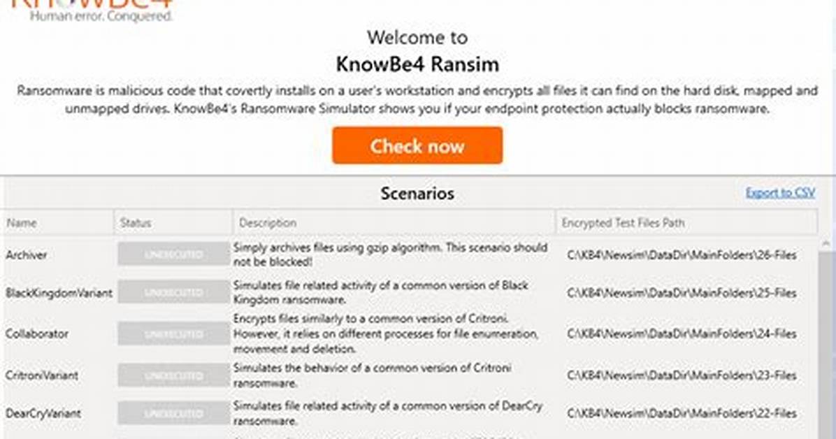 Application. Ransim.1