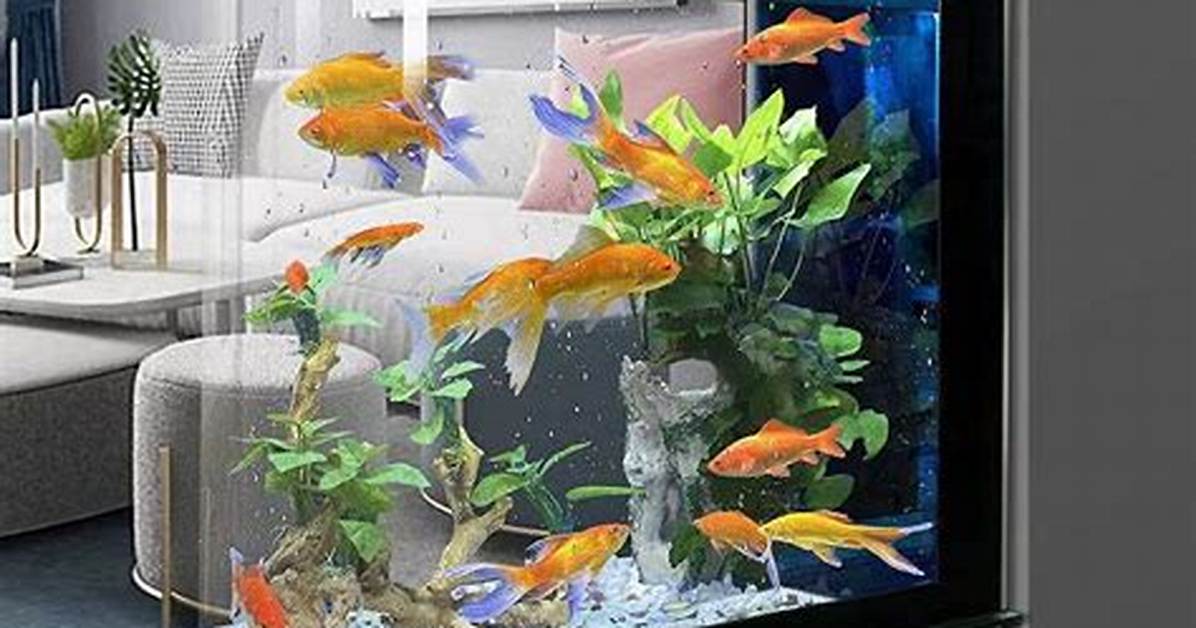 Aquarium
