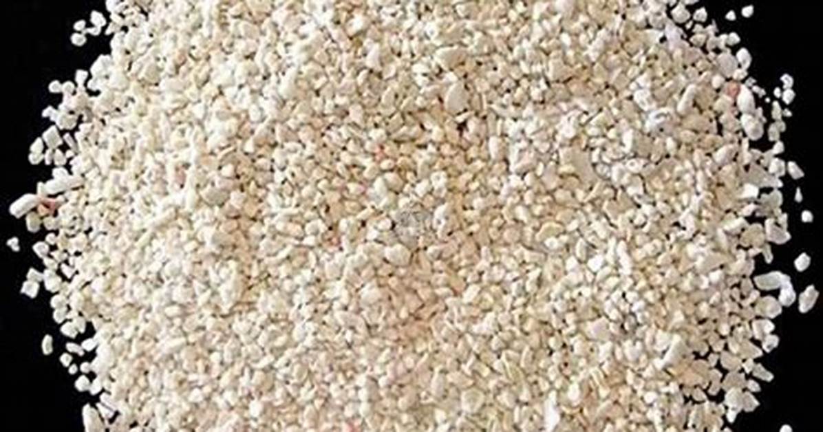 Aragonite Sand