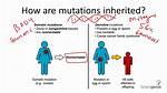 Are Acquired Mutations Heritable?