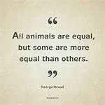 Are All Animals Equal?