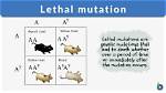 Are All Mutations Harmful