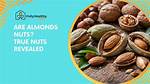 Are Almonds Really Nuts?