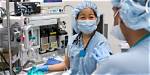 Are Anaesthetists Epp Workers?