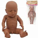 Are Anatomically Correct Dolls?