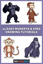 Are Apes Easy