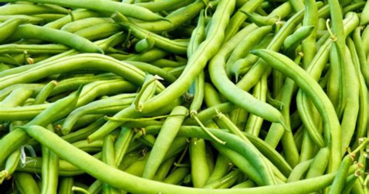 Are Beans a Vegetable?