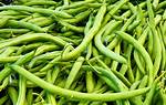Are Beans a Vegetable?