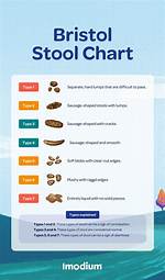 Are Bowel Movements Normal?