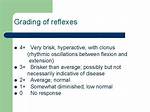 Are Brisk Reflexes Normal