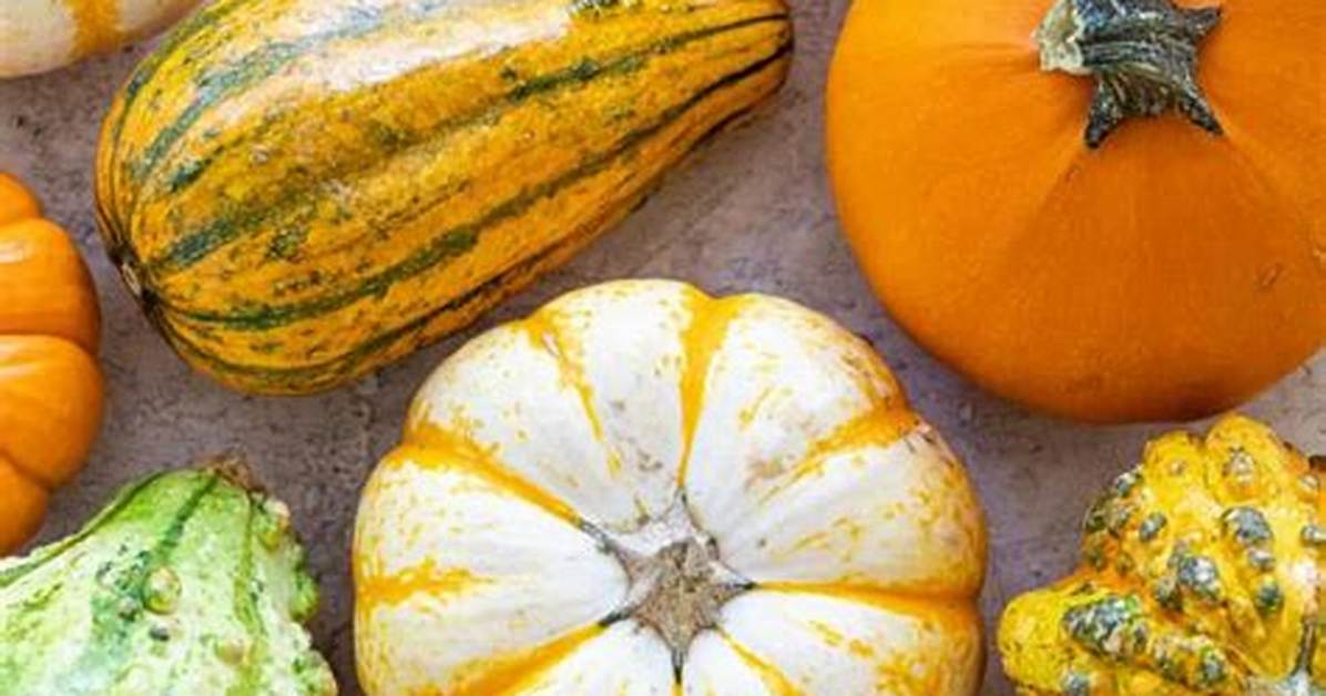 Are Bumpy Pumpkins Edible?