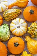 Are Bumpy Pumpkins Edible?