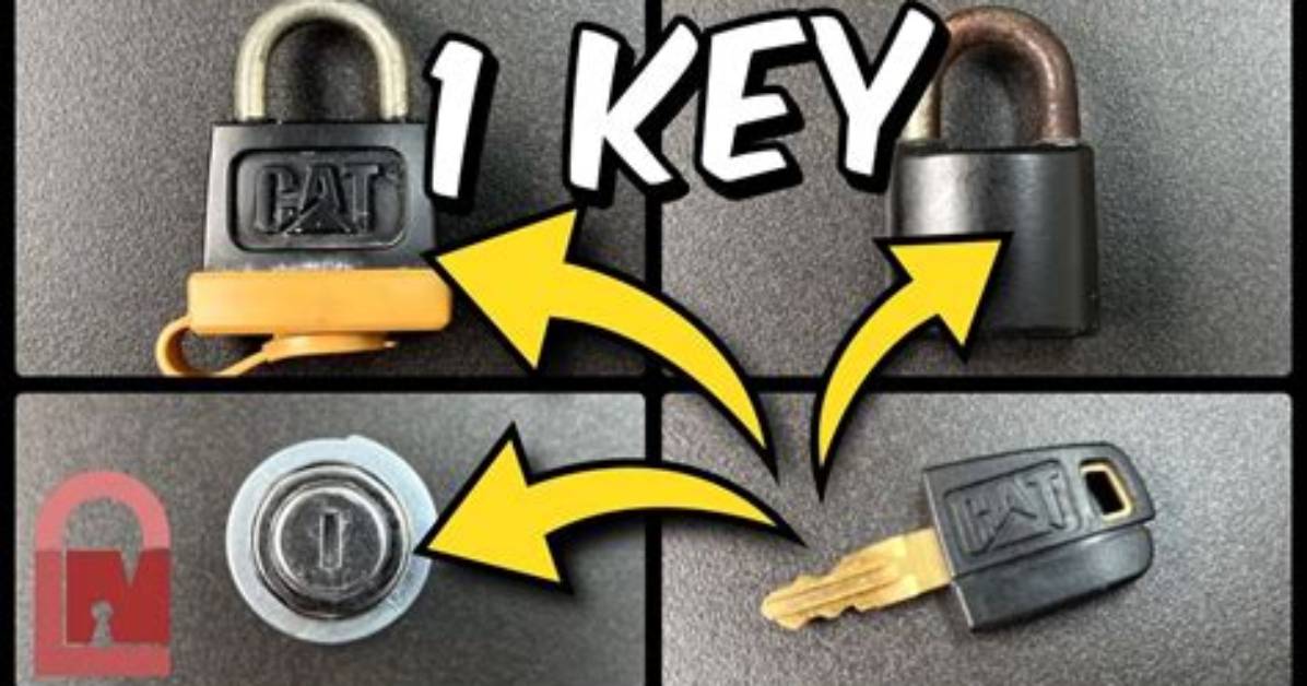 Are Cat Locks Effective?