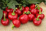 Are Cherry Pepper Hot