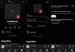 Are Collaborative Playlists Public?