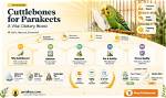 Are Cuttlebones Good for Conures?