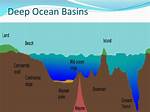 Are Deep Ocean Basins?