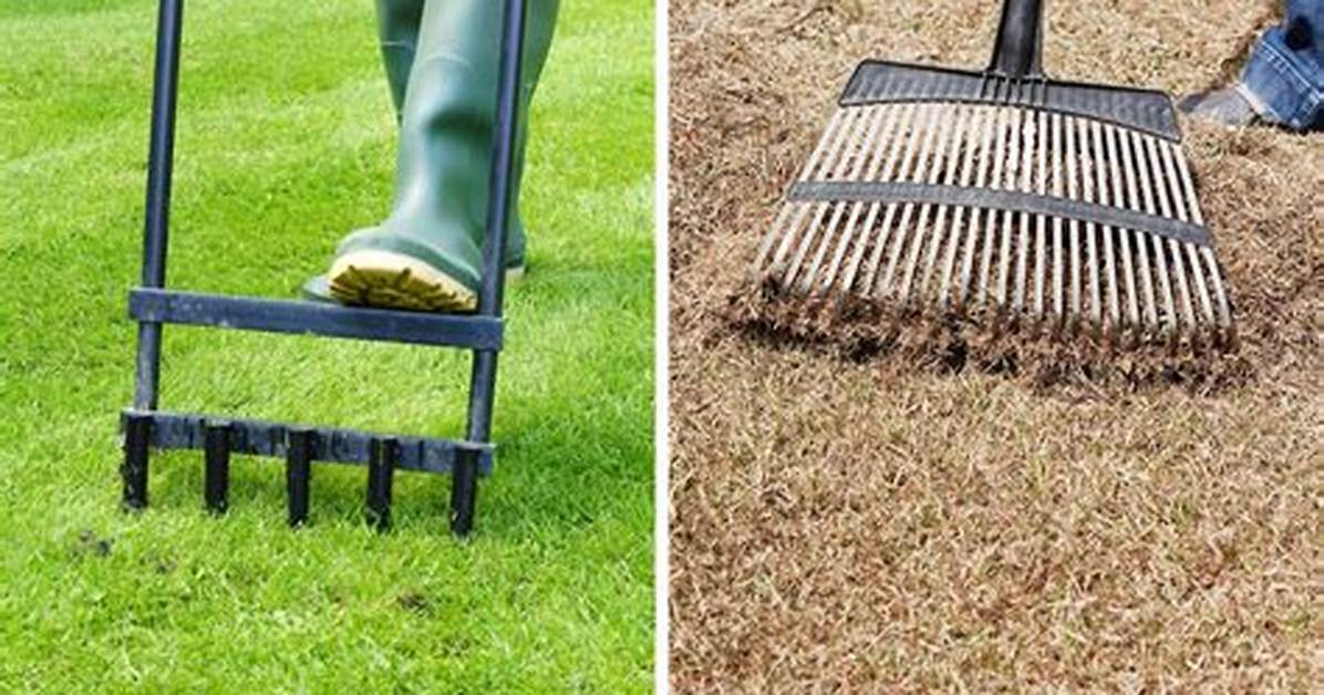 Are Dethatching and Aerating the Same?