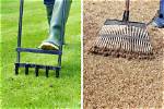 Are Dethatching and Aerating the Same?
