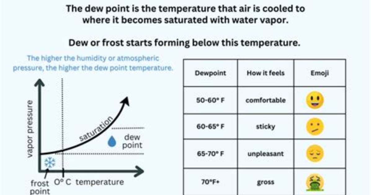 Are Dew Point Temperature?