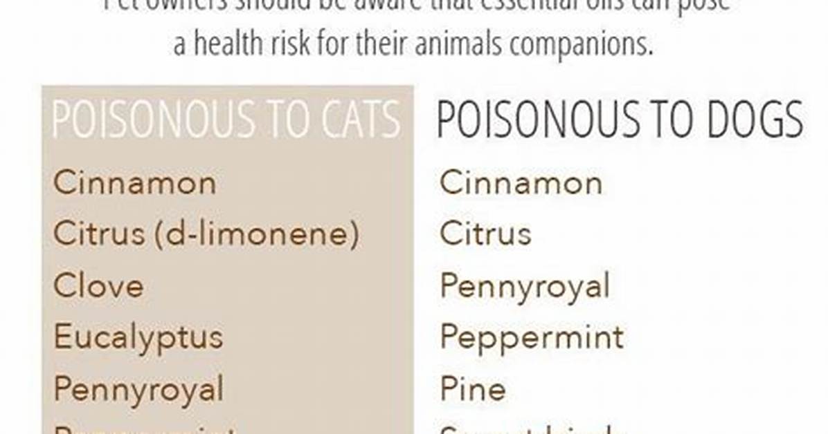 Are Diffusing Oils Bad for Dogs?
