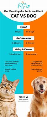 Are Dogs or Cats Better?