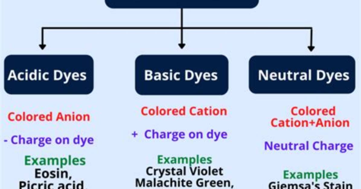 Are Dyes Acidic or Basic?