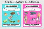 Are Ectotherms Cold Blooded?