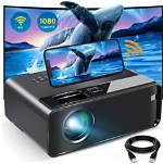 Are Elephas Projectors Good?