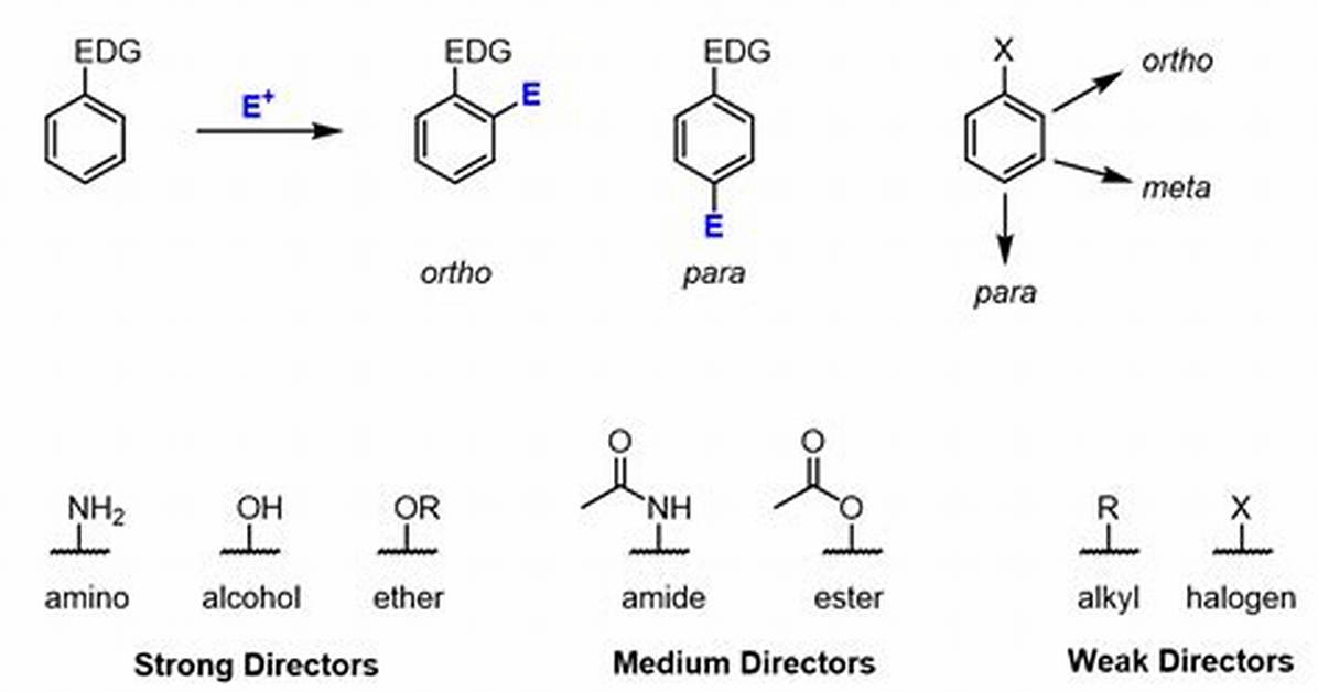 Are Ethers Electron Donating?