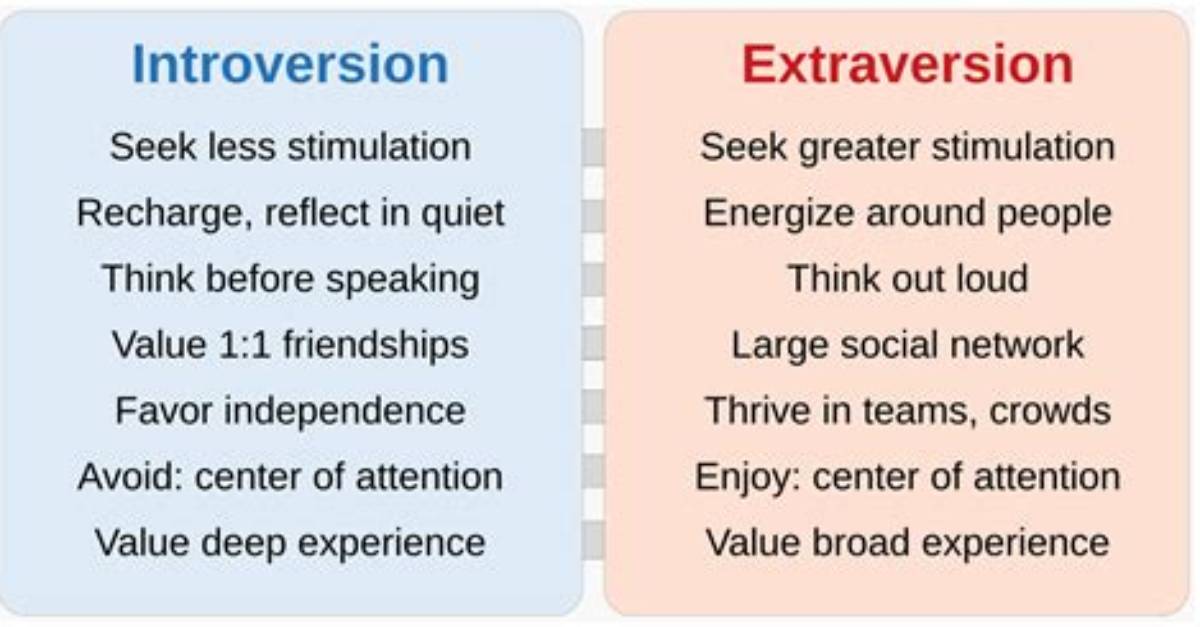 Are Extroversion and Introversion Innate?