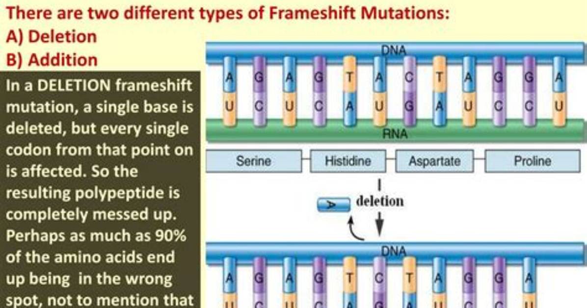 Are Frameshift Mutations Always Lethal?