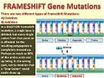 Are Frameshift Mutations Always Lethal?