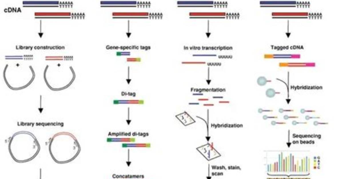 Are Gene Expression Profiling?