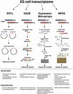Are Gene Expression Profiling?