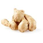 Are Ginger a Taproot?