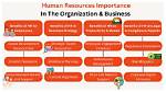 Are Human Resources Important Why?