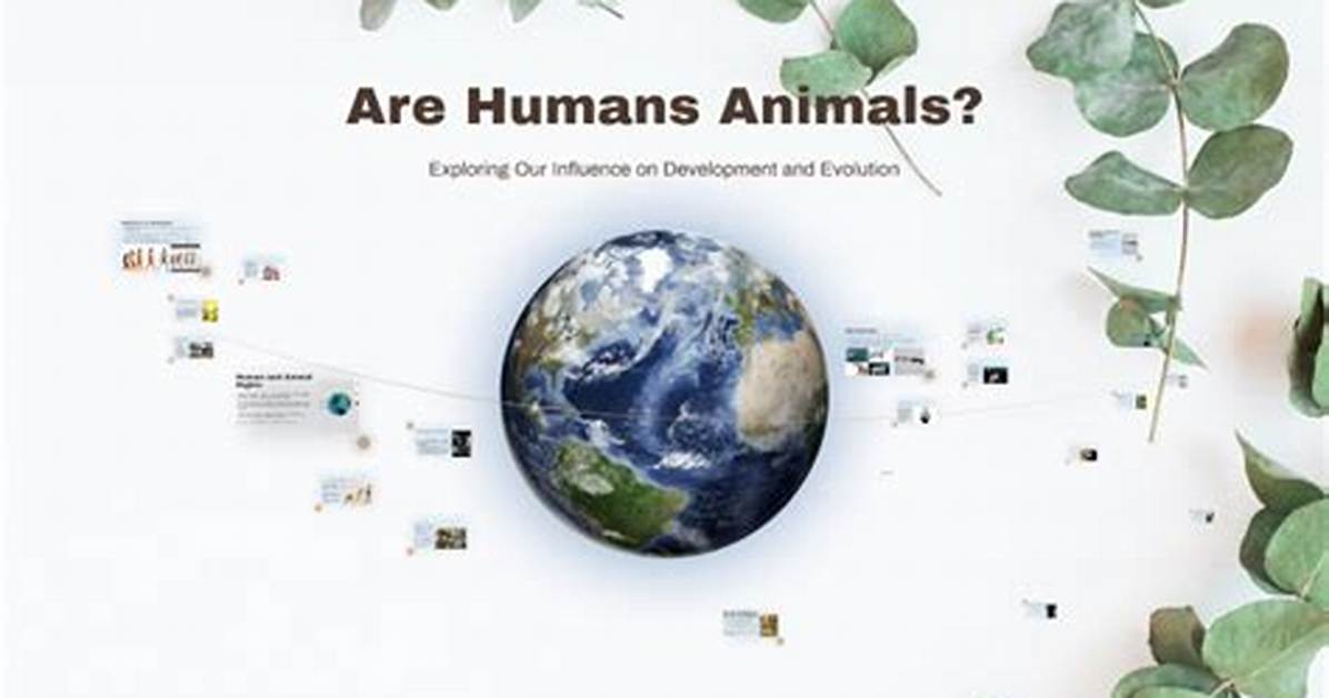 Are Humans Technically Animals?