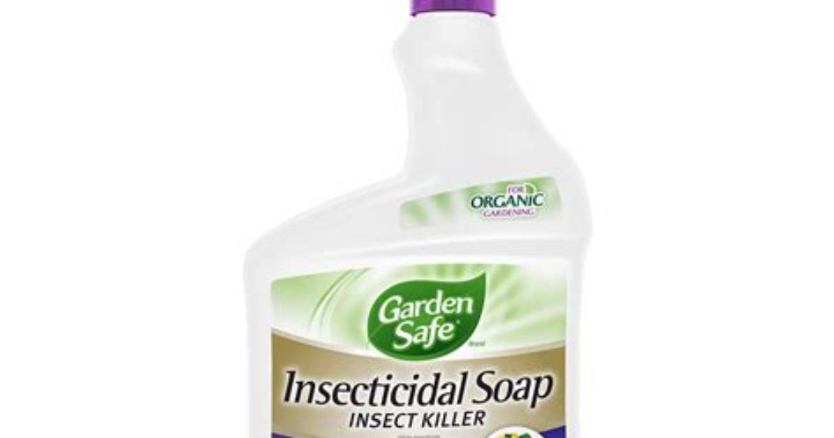 Are Insecticidal Soaps Safe?