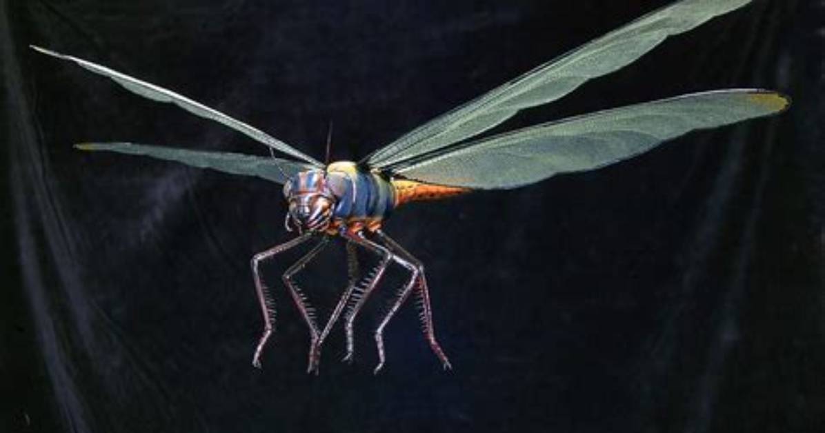 Are Insects Going Extinct