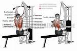 Are Lat Pulldowns a Compound Exercise?
