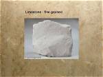 Are Limestone Fine Grained?