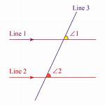Are Linear Angles Congruent