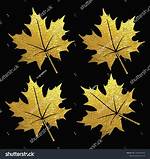 Are Maple and Chinar Same?