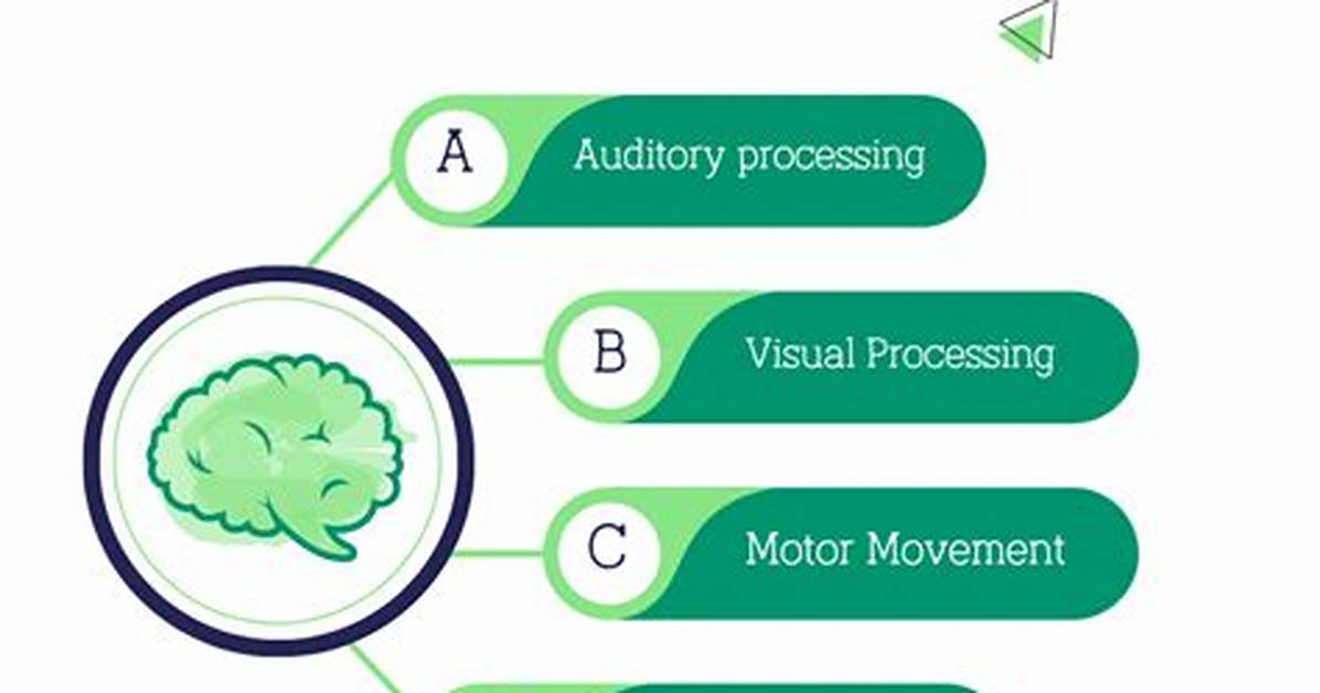 Are Midbrain Functions Automatic?