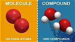 Are Molecules a Compound